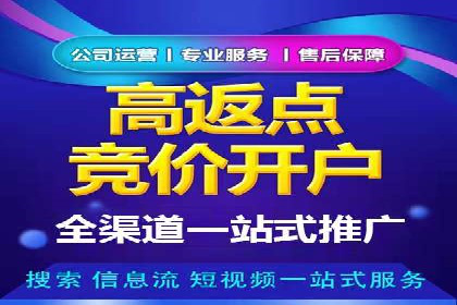 SEM服务案例：提升网站流量